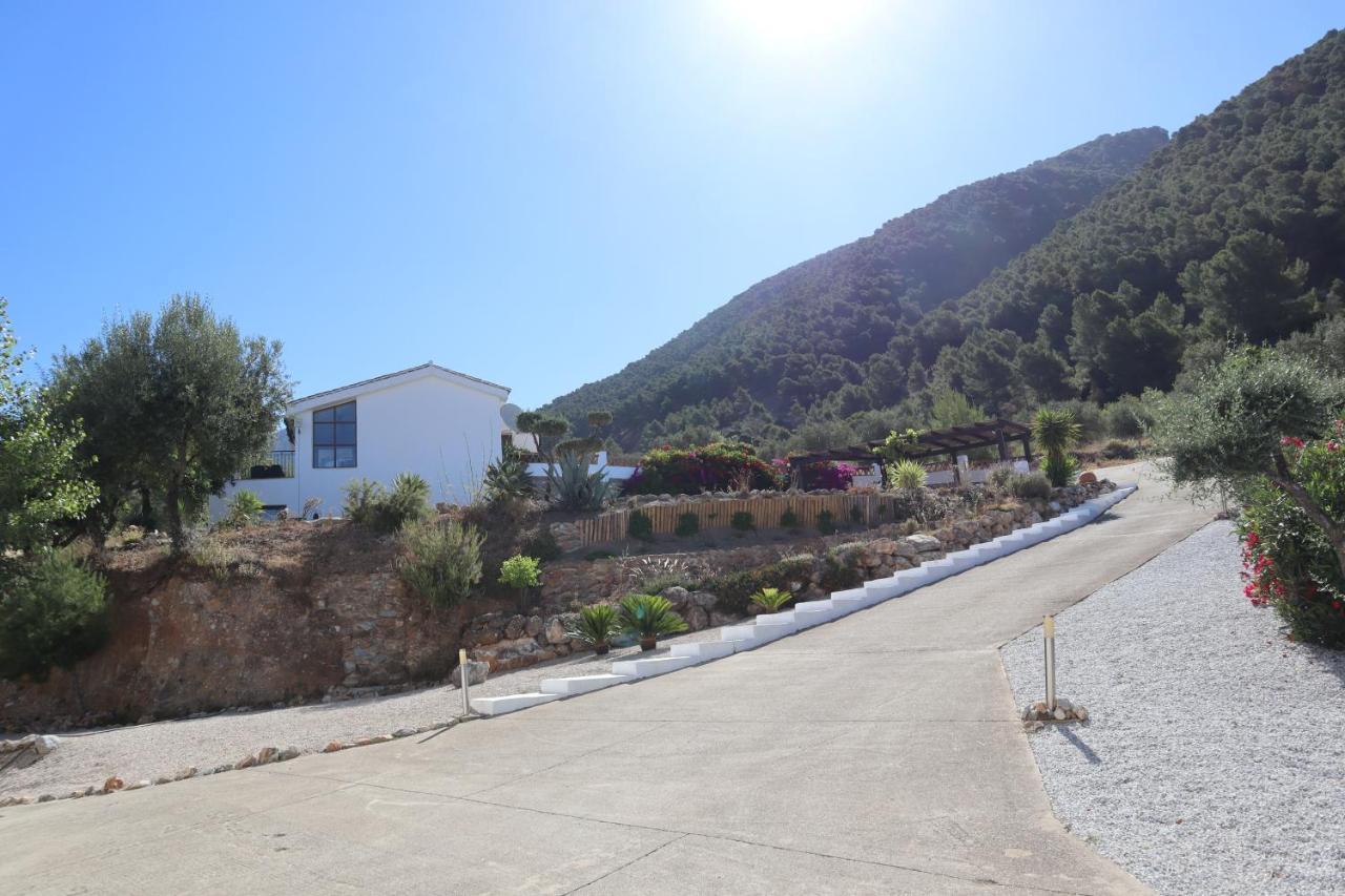 Casa Arts Guest Rooms Alcaucín المظهر الخارجي الصورة